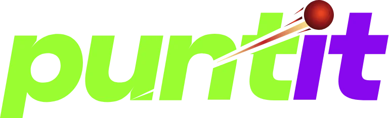 puntit logo